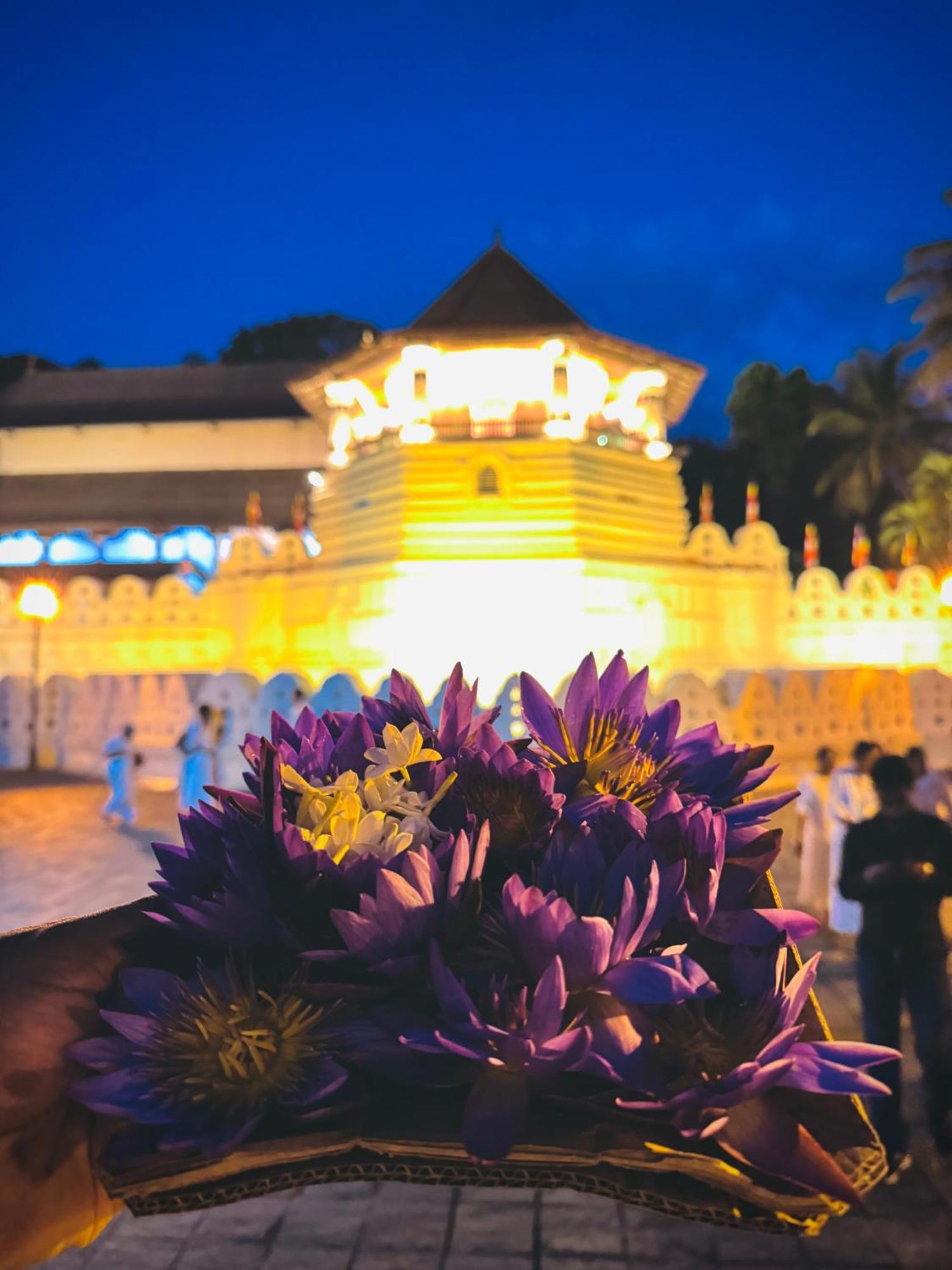 Mahaweli View Bungalow Kandy Luaran gambar